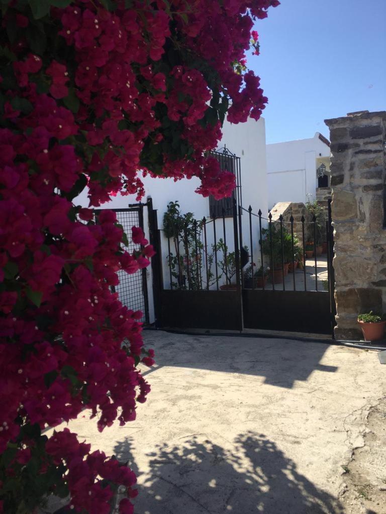 Apartamento Las Adelfas Ταρίφα Εξωτερικό φωτογραφία