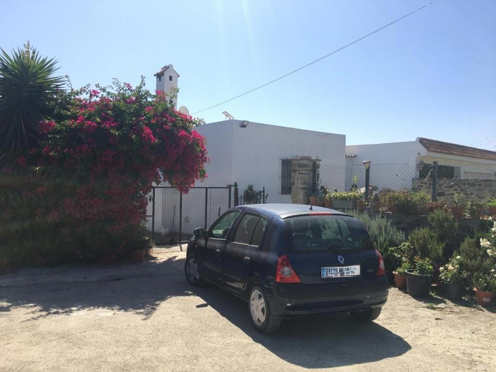 Apartamento Las Adelfas Ταρίφα Εξωτερικό φωτογραφία